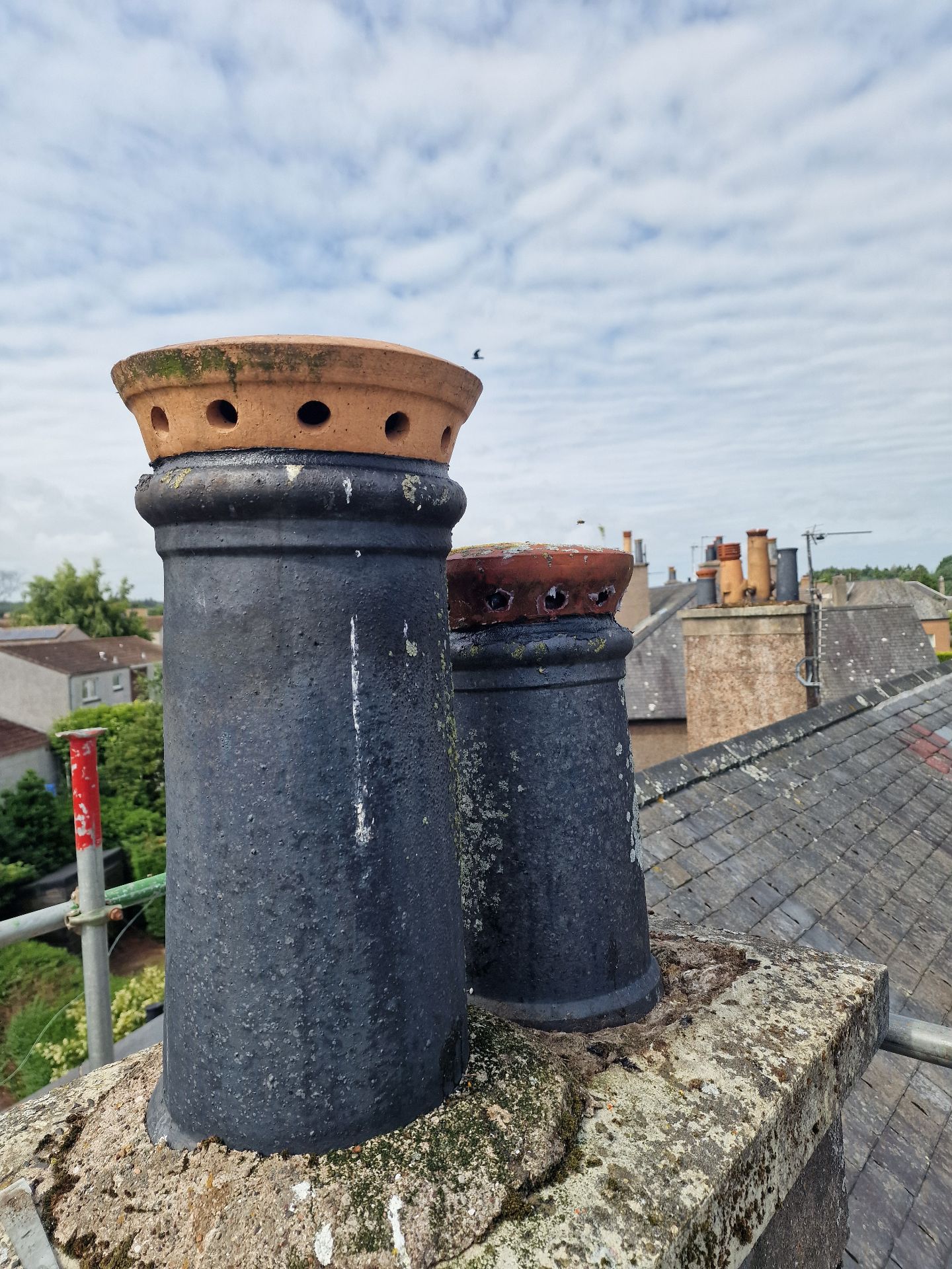 Bee colony extraction from a chimney - Herd Pest Control