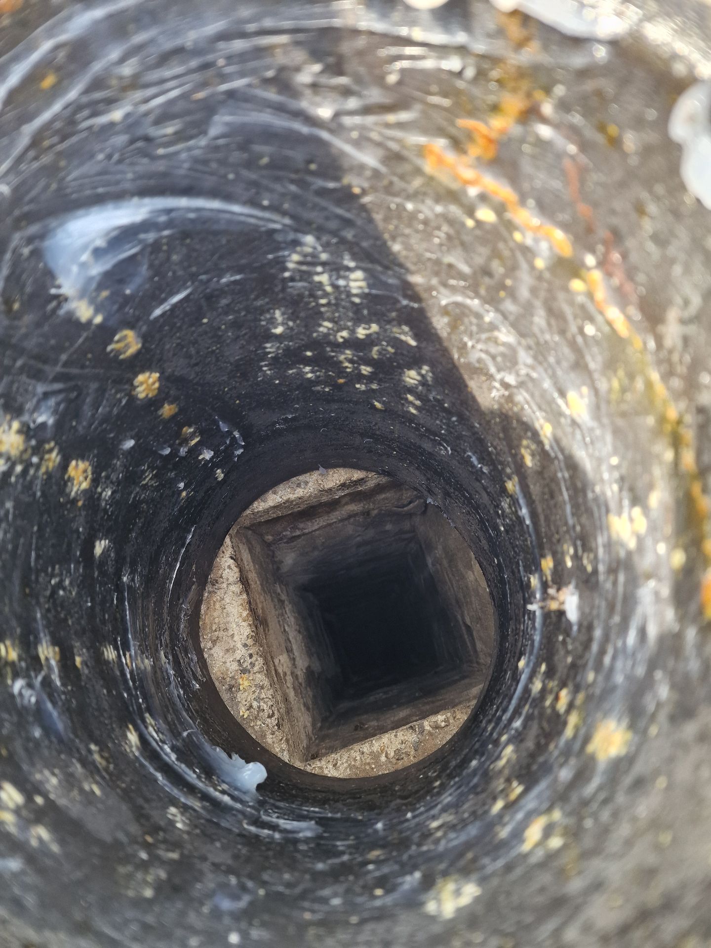 Bee colony extraction from a chimney - Herd Pest Control