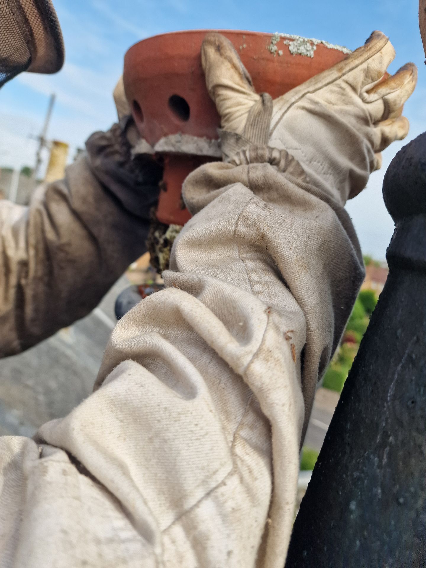 Bee colony extraction from a chimney - Herd Pest Control