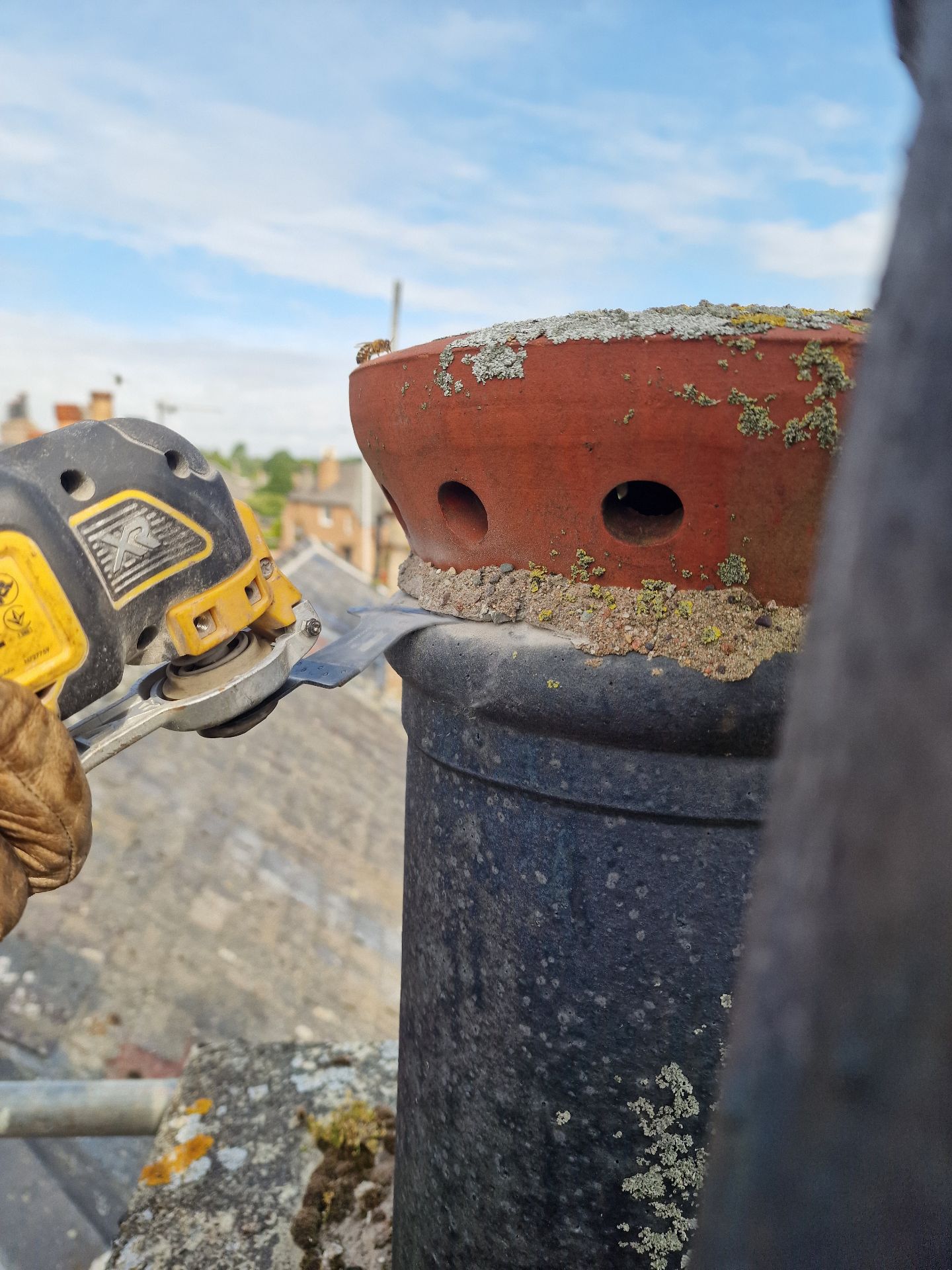 Bee colony extraction from a chimney - Herd Pest Control