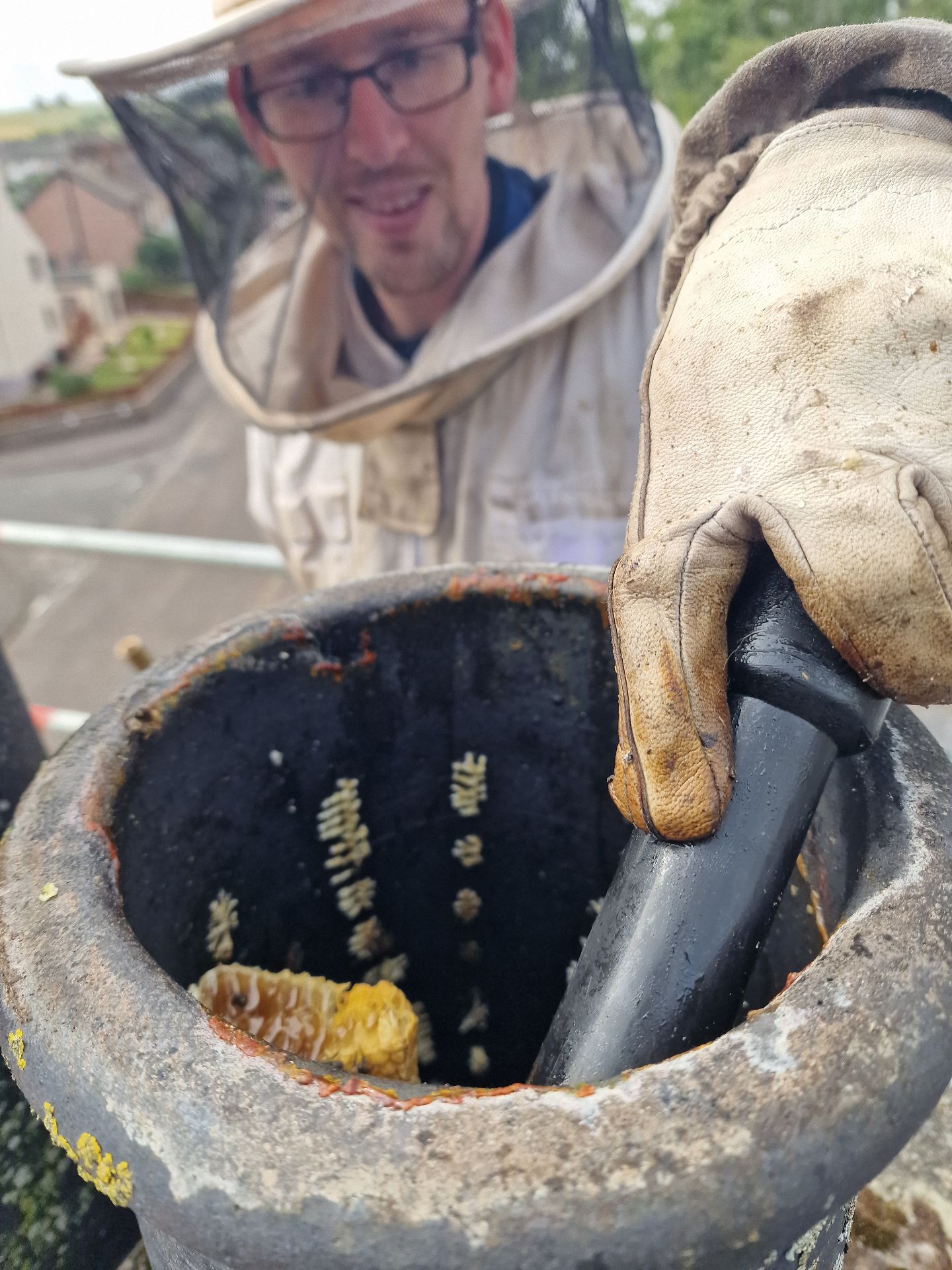 Bee colony extraction from a chimney - Herd Pest Control