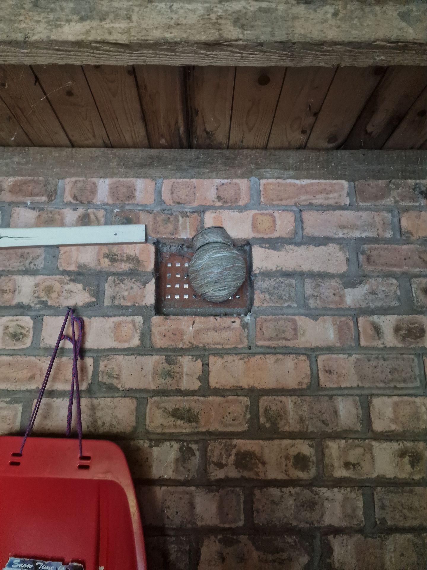 Wasp nest removal - Herd Pest Control