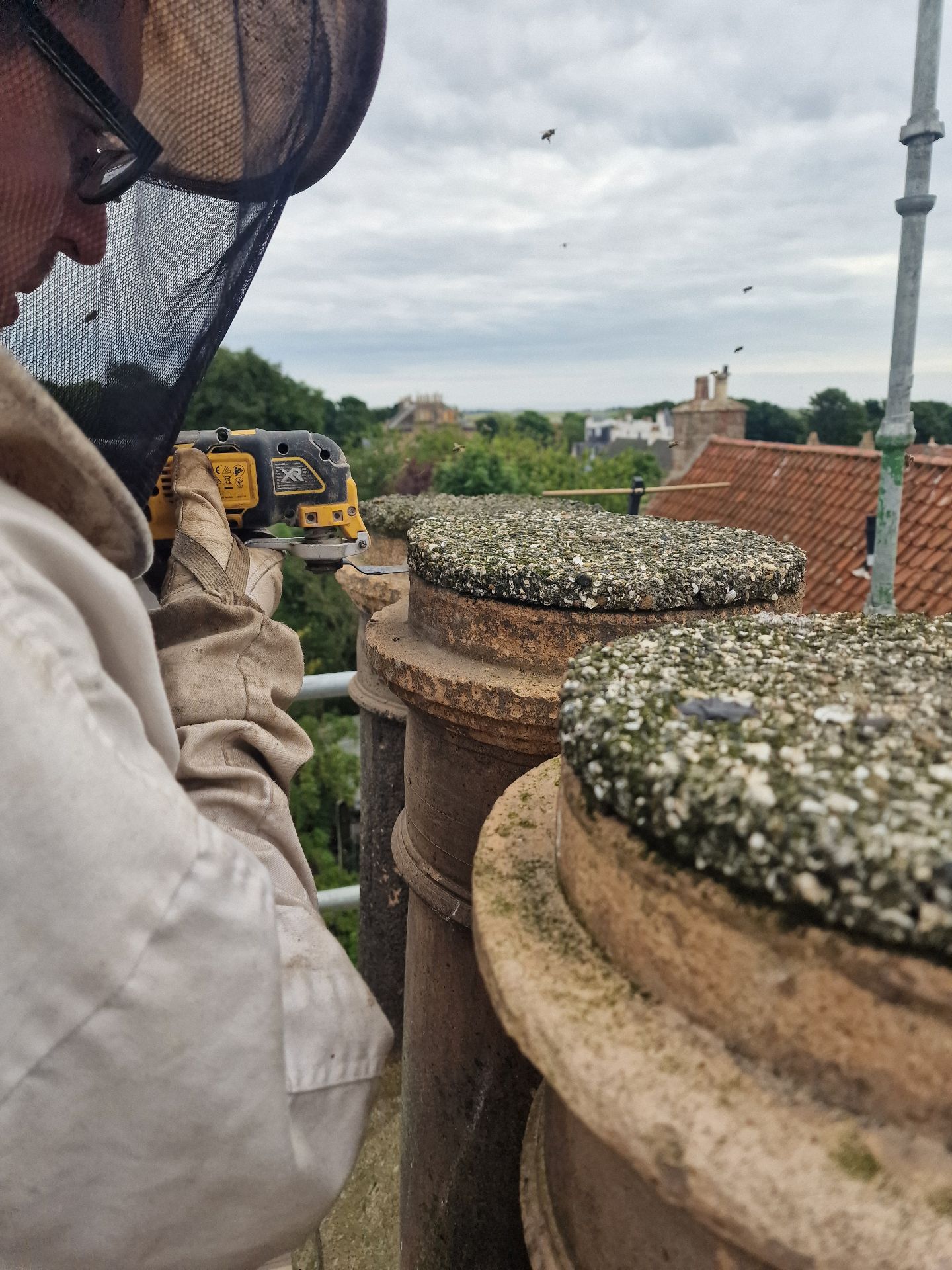Honey Bee Extraction from Chimney - Herd Pest Control