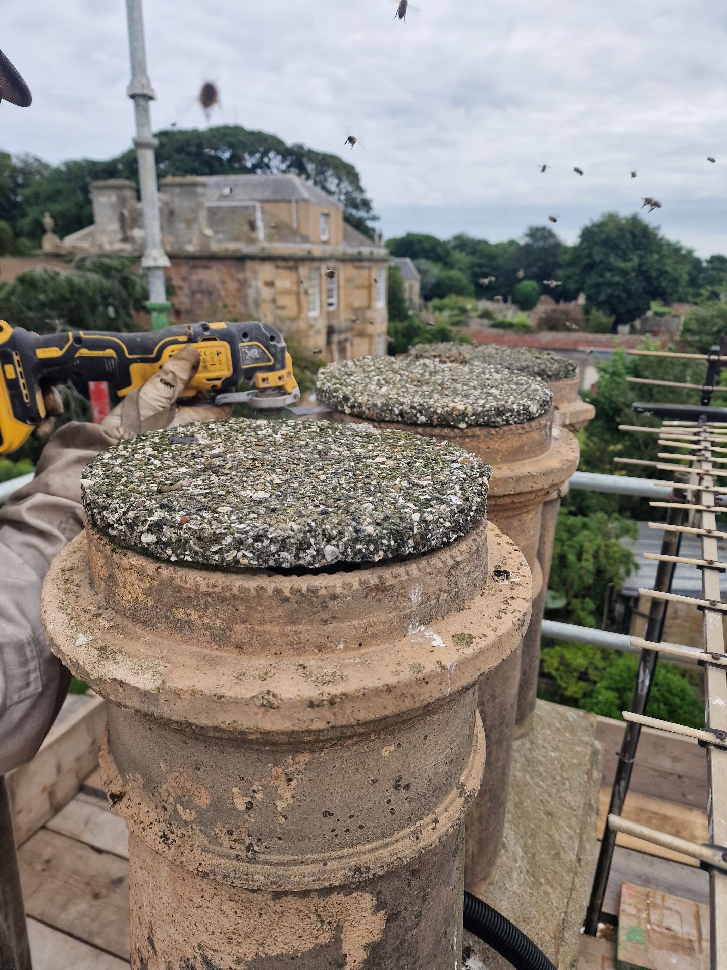 Honey Bee Extraction from Chimney - Herd Pest Control