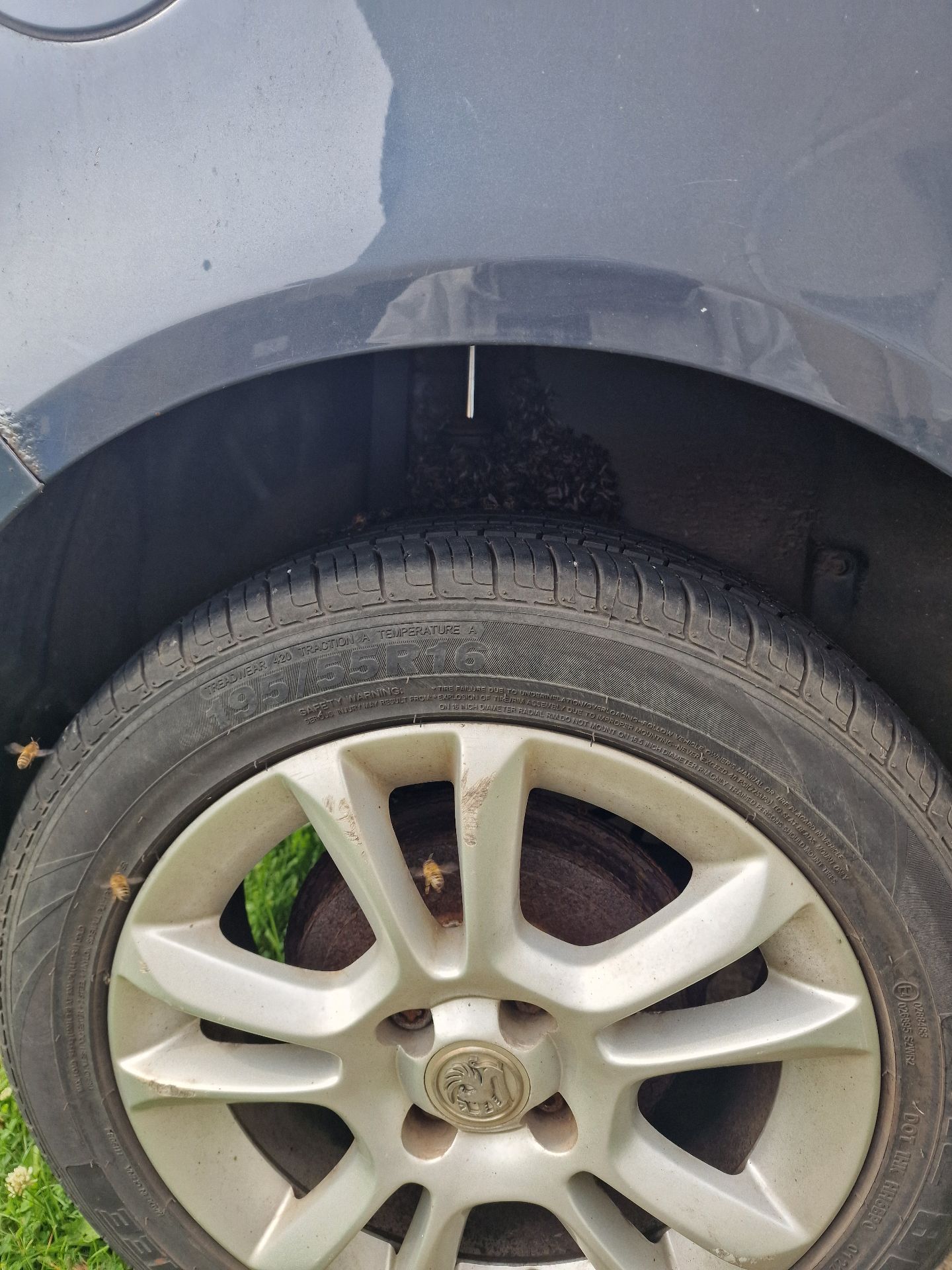 Emergency Bee Removal From Vehicle - Herd Pest Control