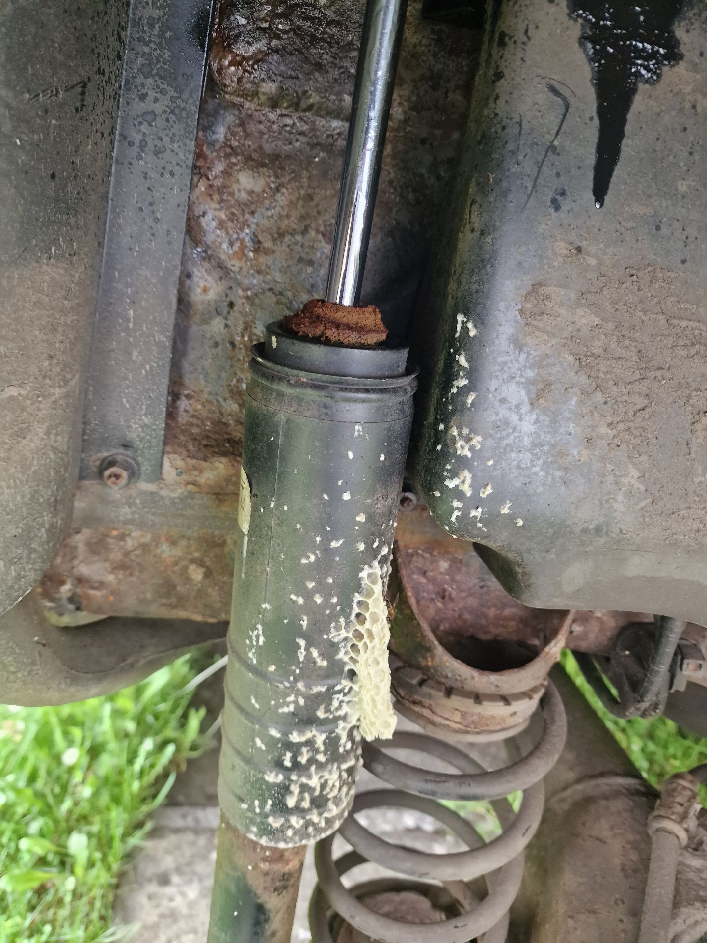 Emergency Bee Removal From Vehicle - Herd Pest Control