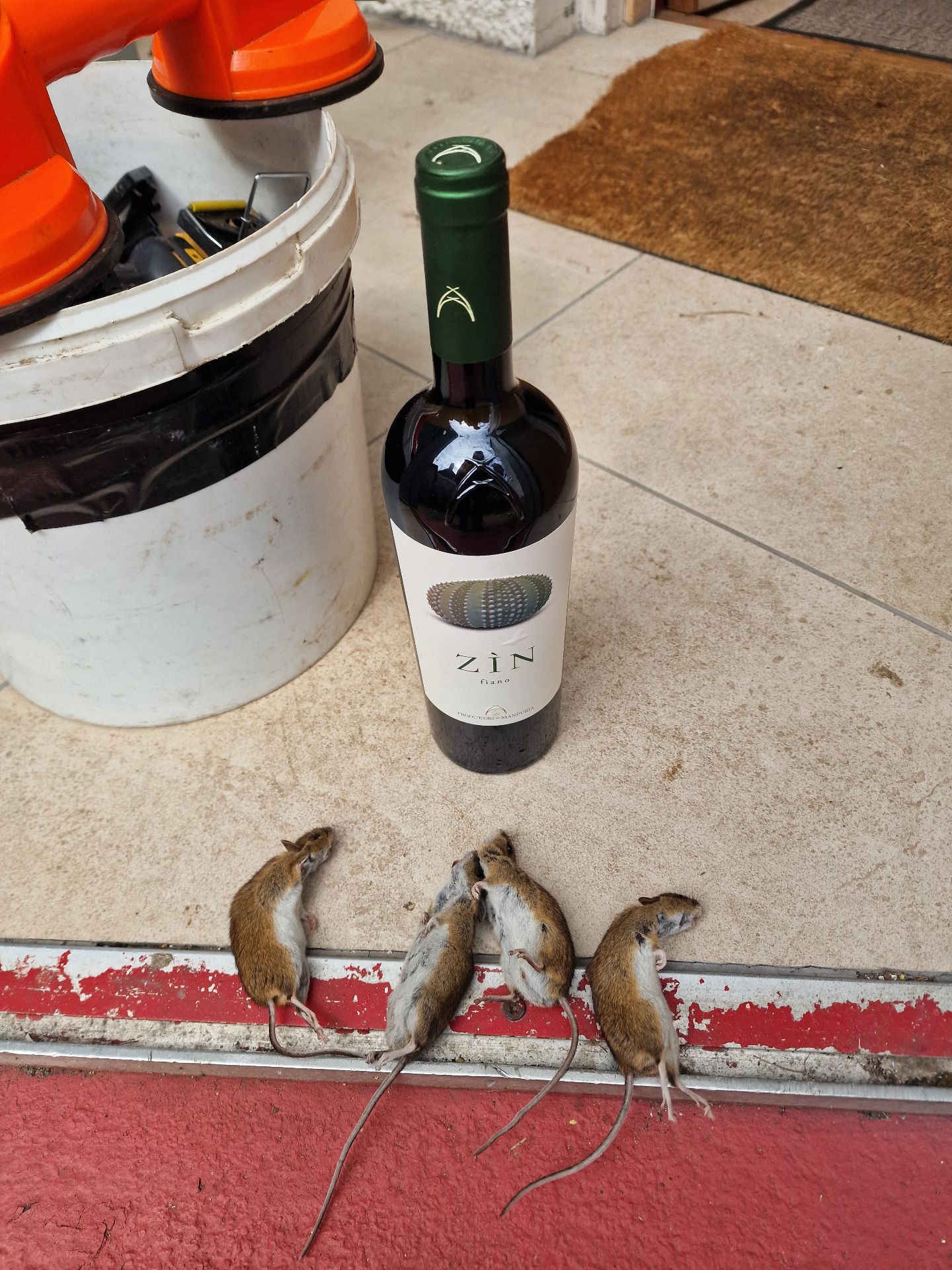 Field mice and wine - Herd Pest Control