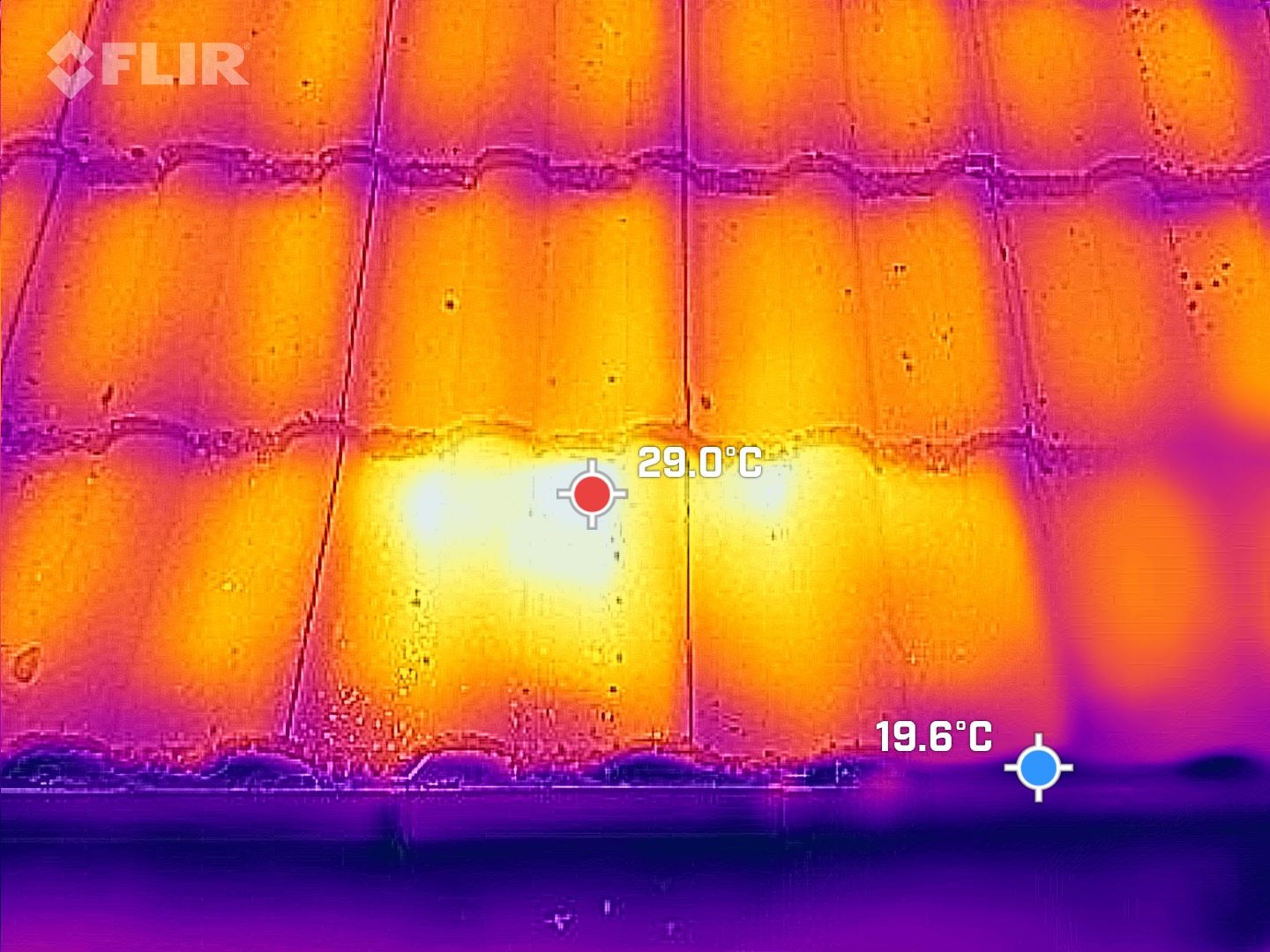 Humane Honey Bee Removal - Herd Pest Control