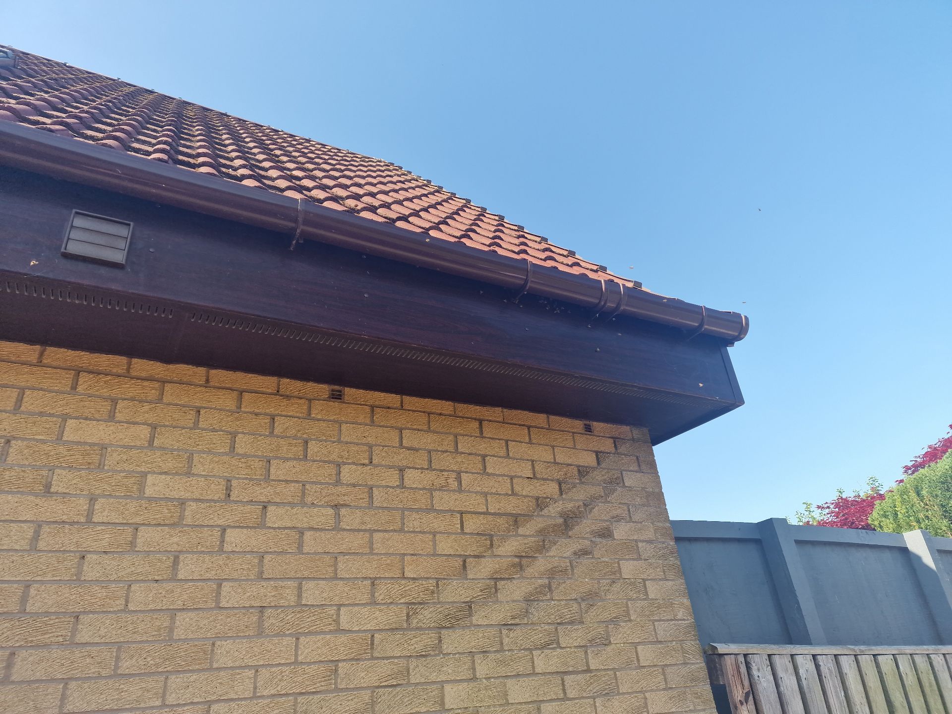 Humane Honey Bee Removal - Herd Pest Control