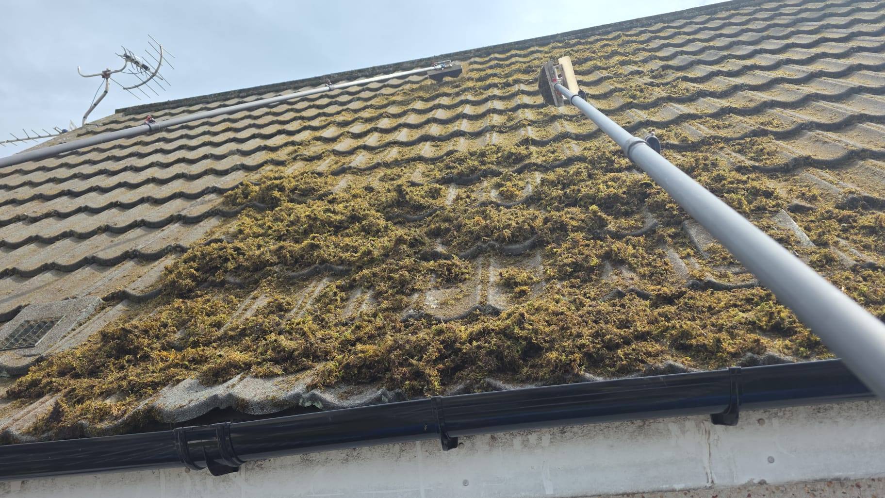 Removing moss with long-reach roof brushes - Frosty Enterprises Ltd t/a Frostys Cleaning Services