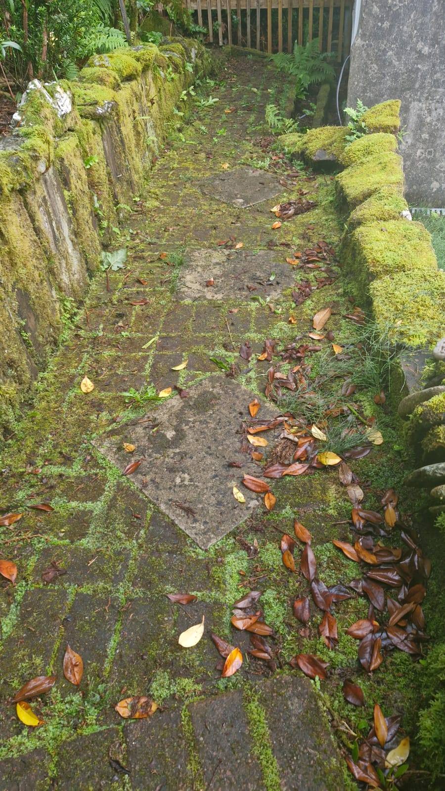 Cleaning a patterned garden walkway - Frosty Enterprises Ltd t/a Frostys Cleaning Services