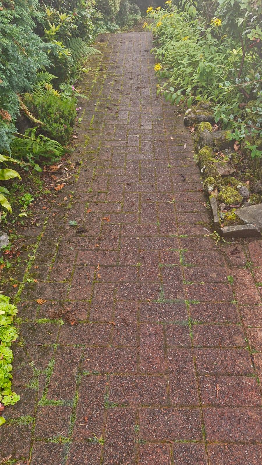 Pressure washing a garden block-paved path - Frosty Enterprises Ltd t/a Frostys Cleaning Services