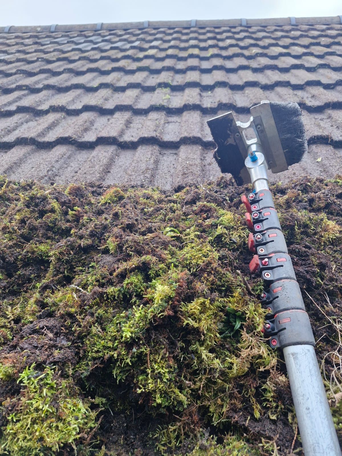 Brushing moss from a pitched tiled roof - Frosty Enterprises Ltd t/a Frostys Cleaning Services