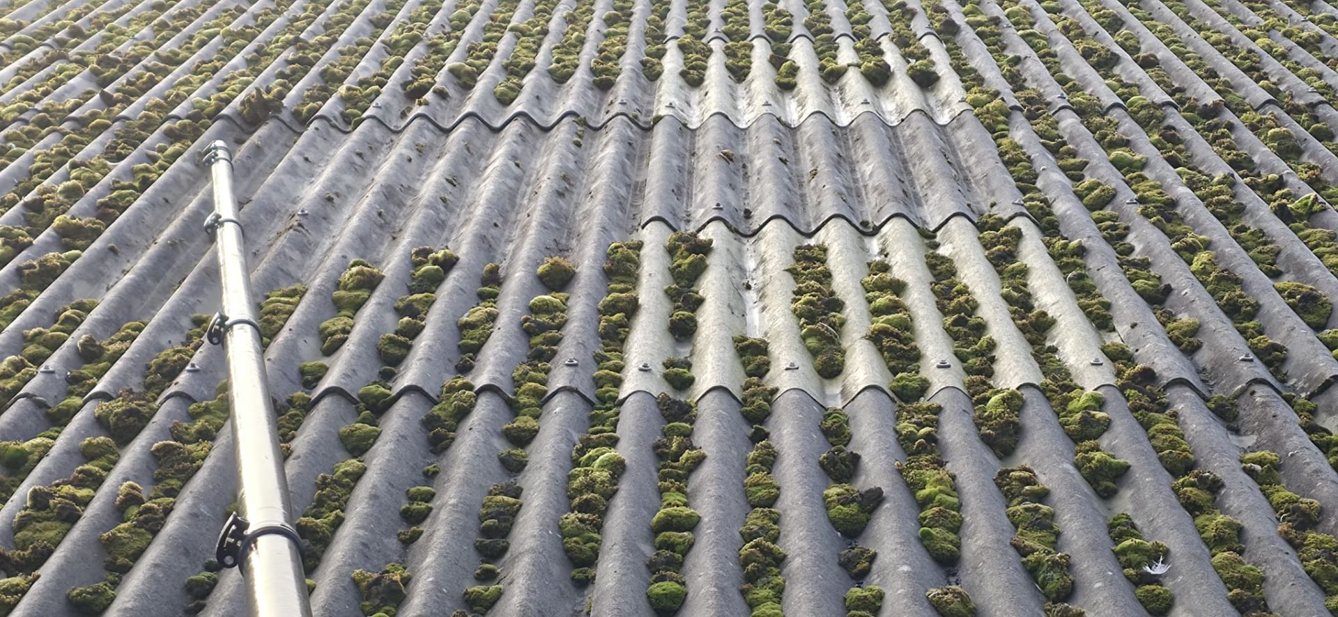 Moss removal from a corrugated roof - Frosty Enterprises Ltd t/a Frostys Cleaning Services