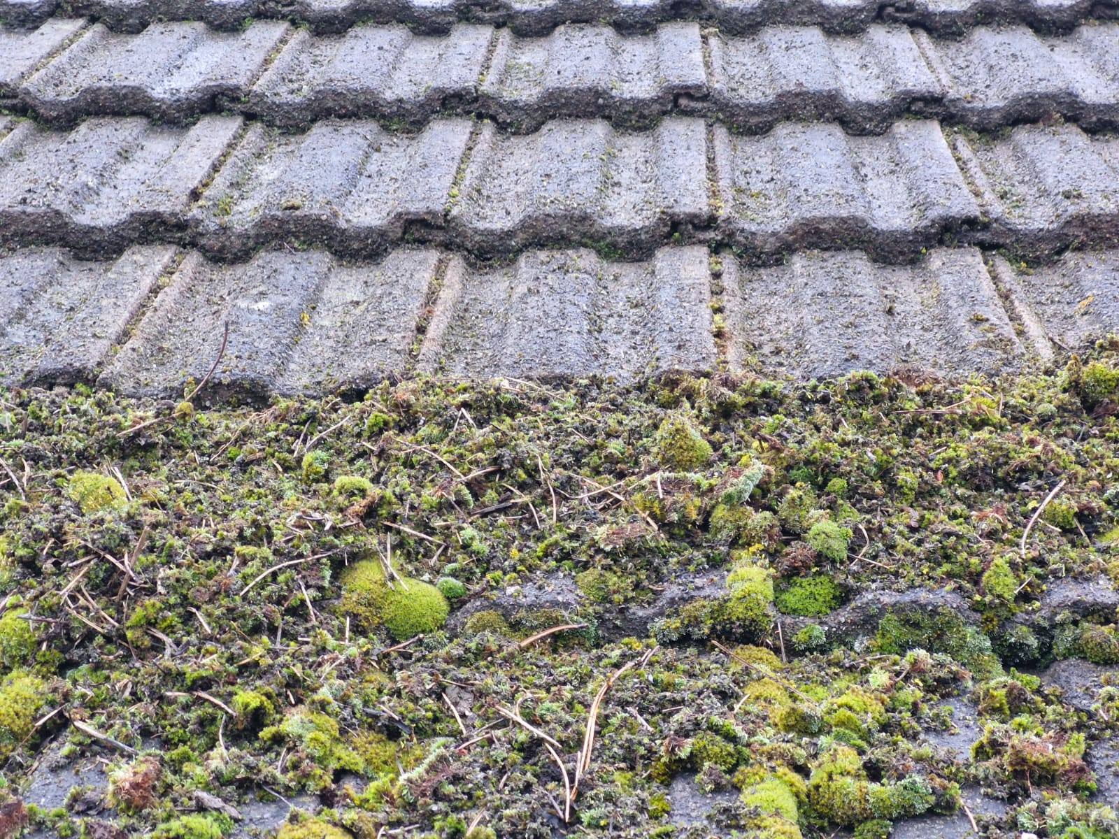 Clearing thick moss from profiled roof tiles - Frosty Enterprises Ltd t/a Frostys Cleaning Services