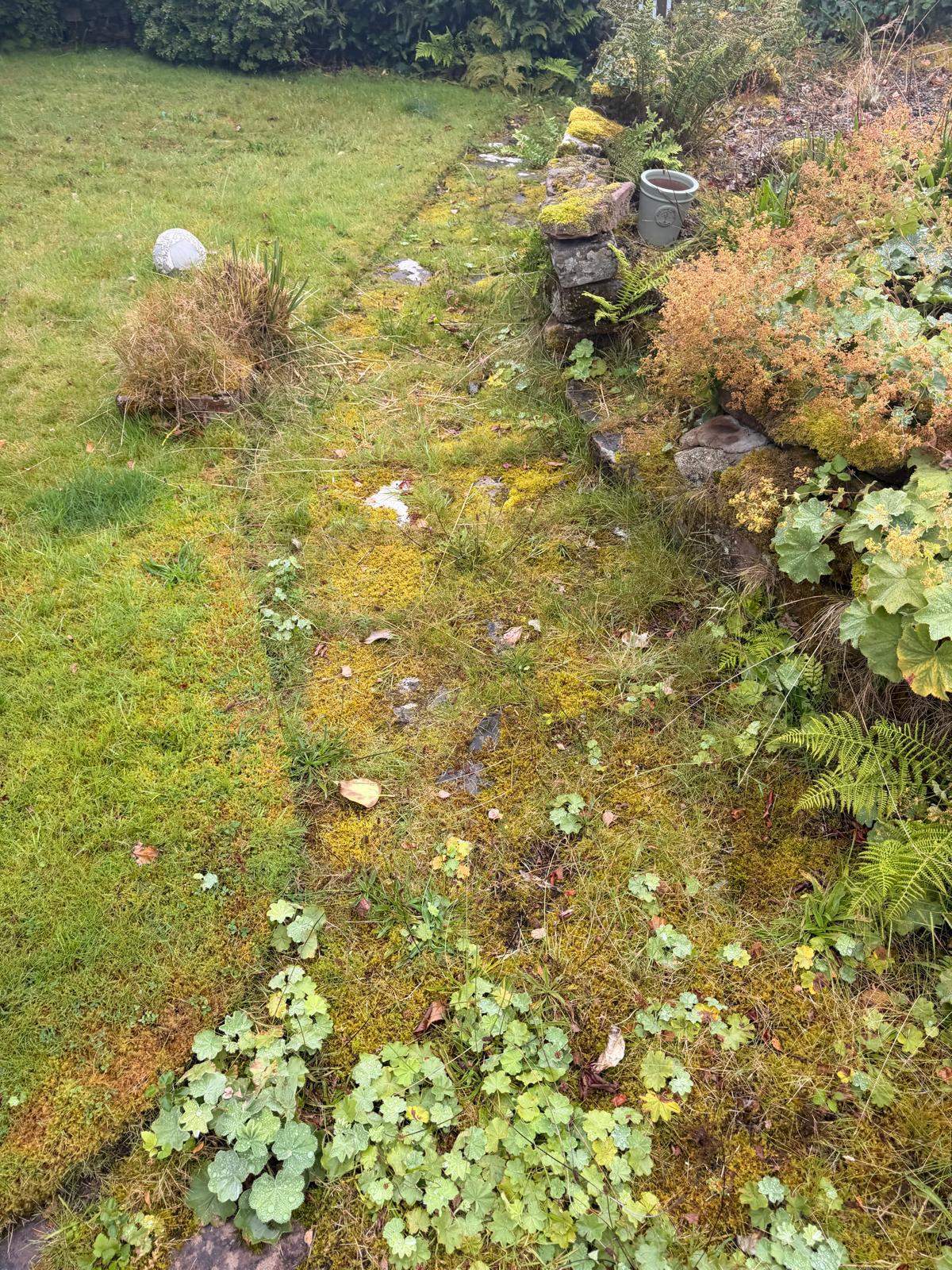 Revealing an overgrown stone garden path - Frosty Enterprises Ltd t/a Frostys Cleaning Services