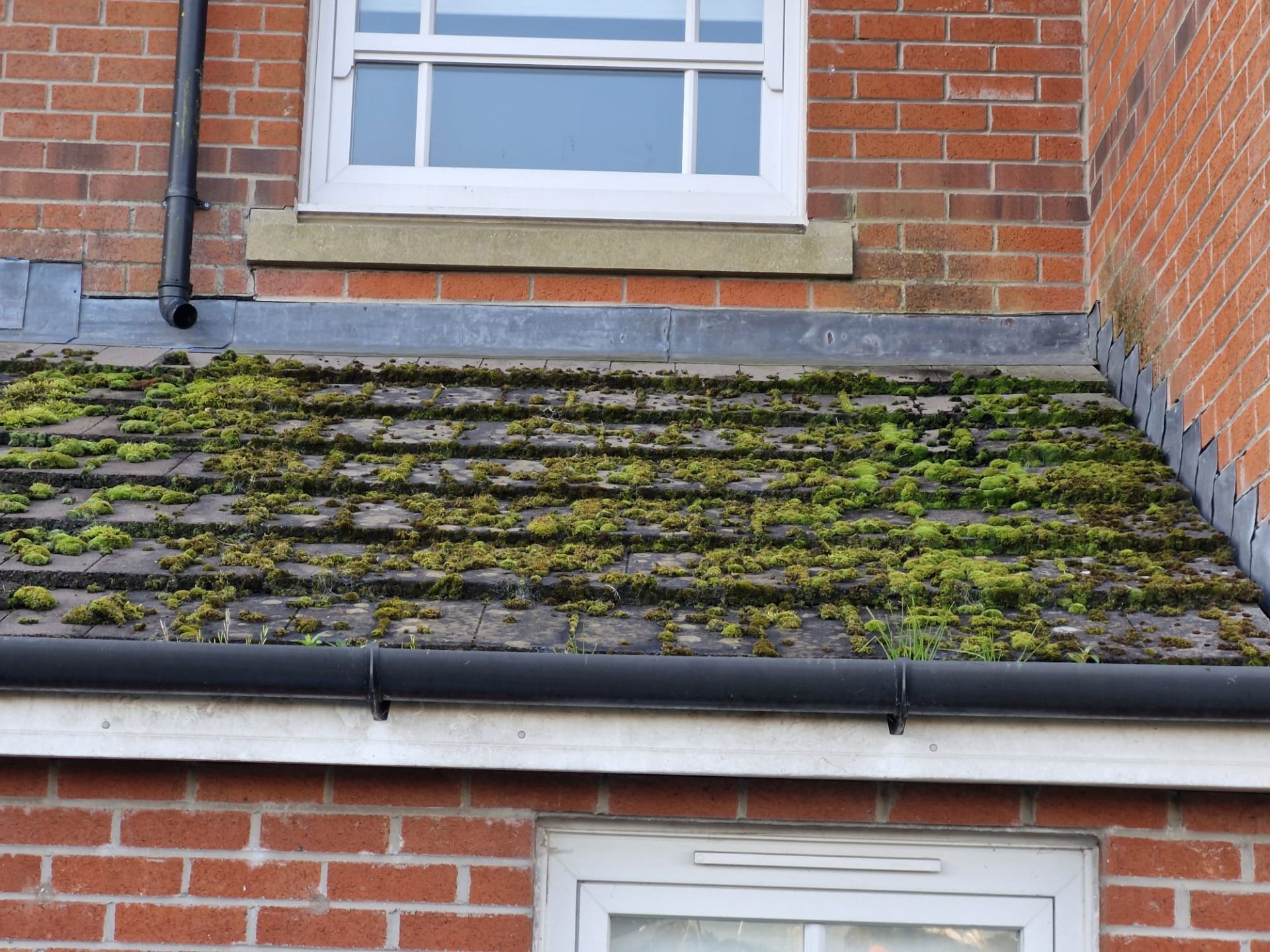 Removing moss from a tiled entrance roof - Frosty Enterprises Ltd t/a Frostys Cleaning Services