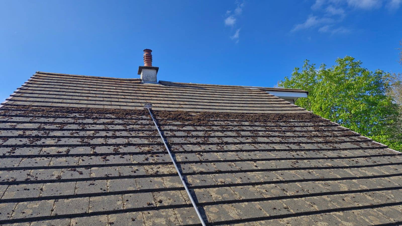 Clearing moss across a broad tiled roof - Frosty Enterprises Ltd t/a Frostys Cleaning Services