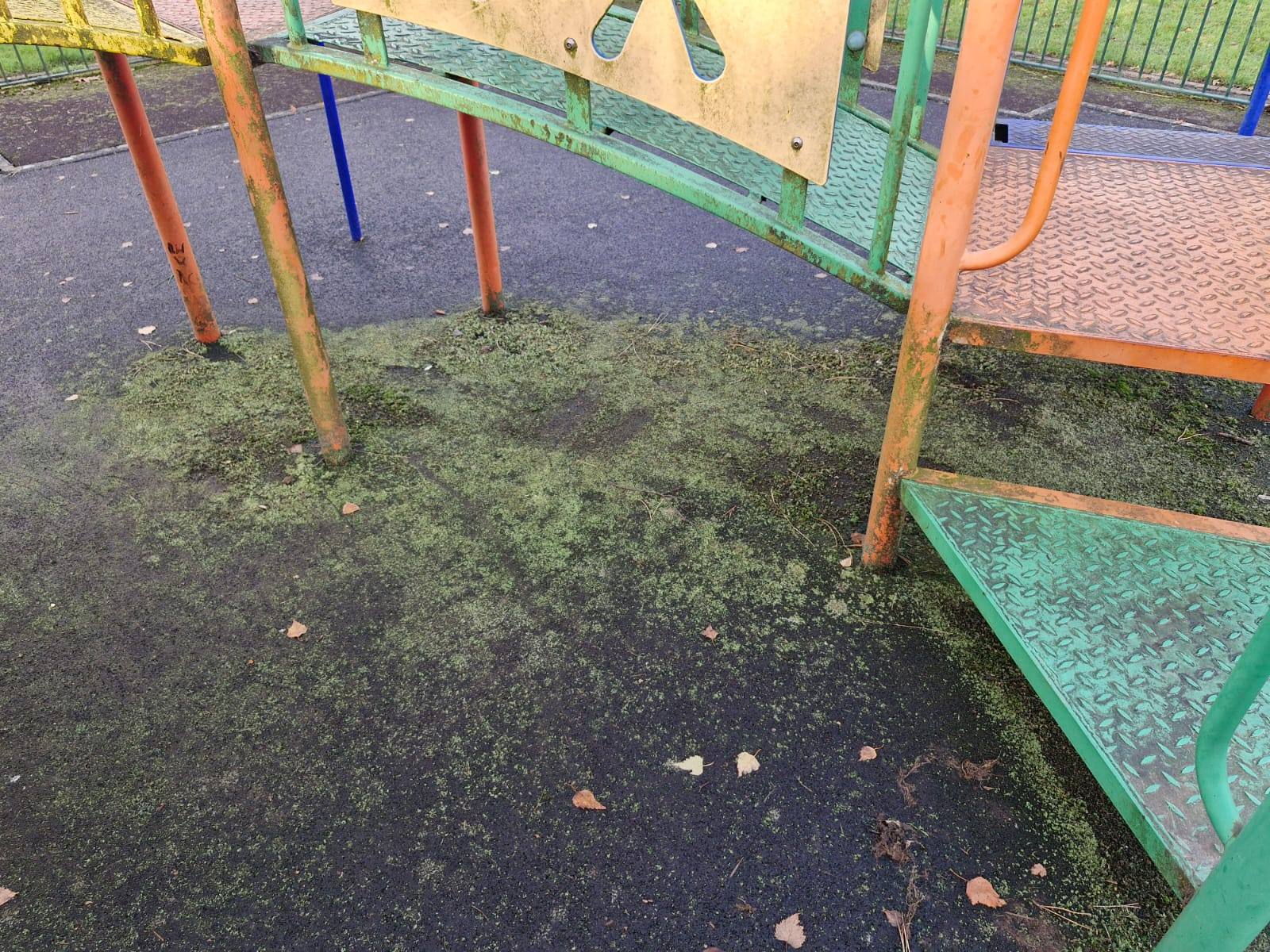 Playground equipment and surface cleaning - Frosty Enterprises Ltd t/a Frostys Cleaning Services