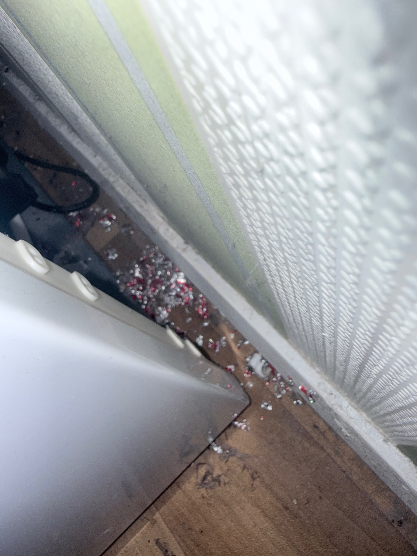 Mice problems - NI Pest Control