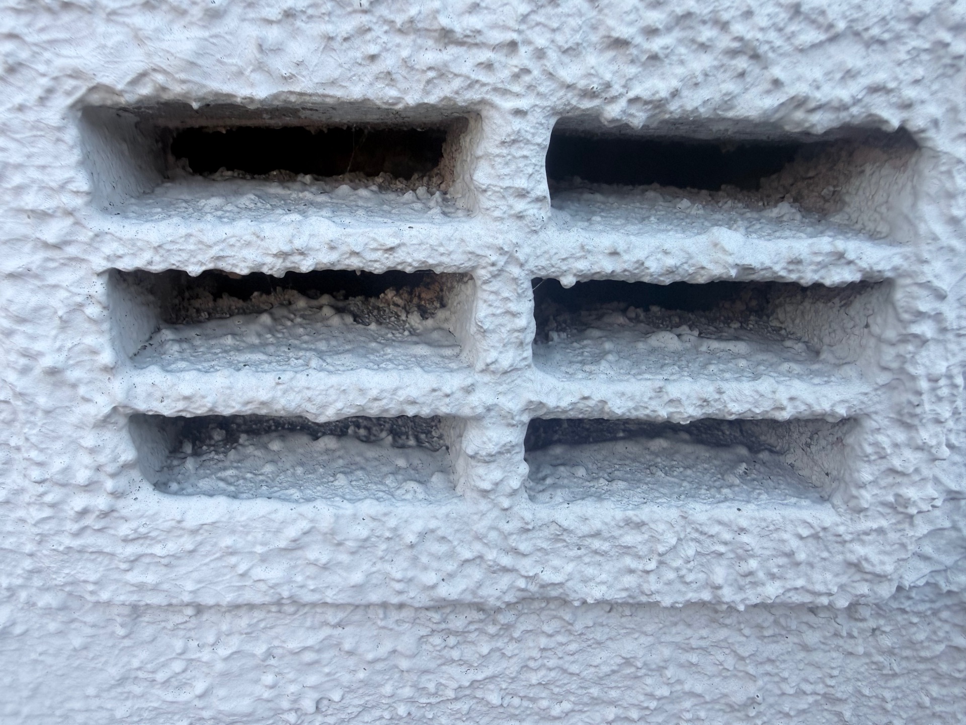 Mice problems - NI Pest Control