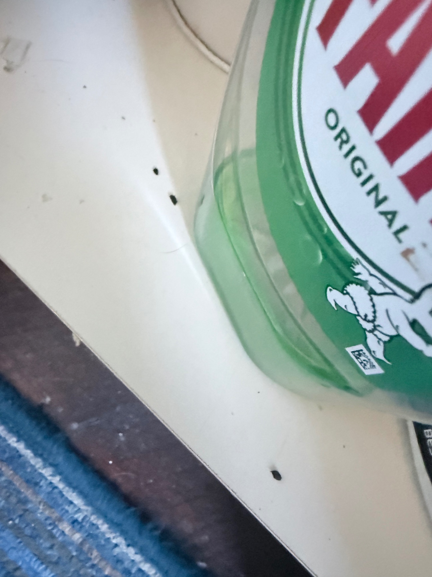 Mice problems - NI Pest Control